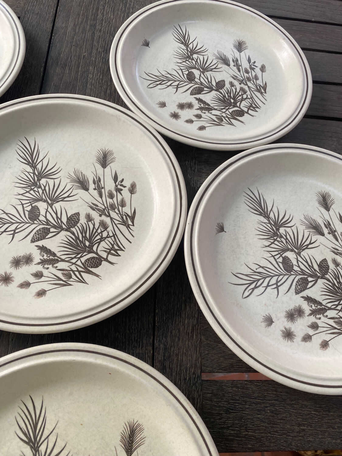 6 vintage Pinewood dinner plates