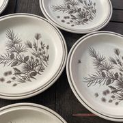 6 assiettes plates Pinewood vintage