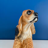 English Cocker Spaniel Dog Status