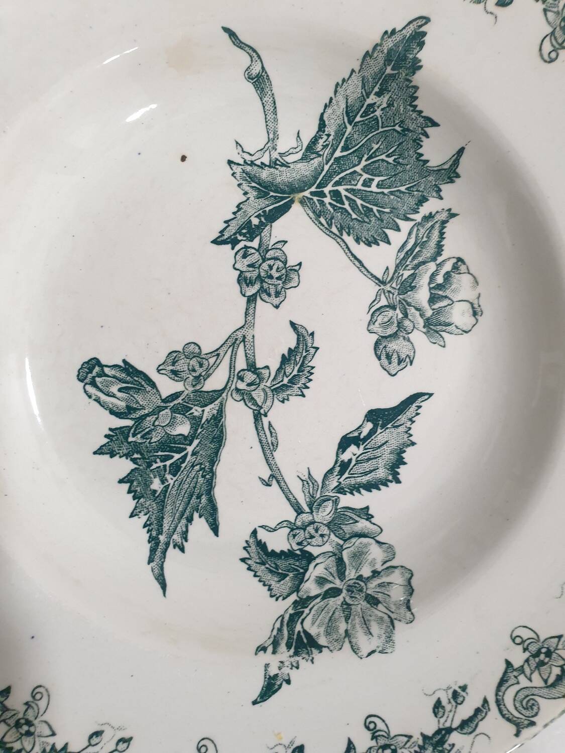 8 Saint Amand des Eaux soup plates