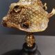 Cabinet of Curiosities naturalized fish tetrosomus concatenatus on base