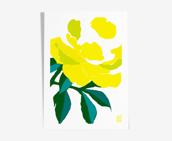 Illustration en édition limité
