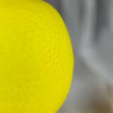 Lemon glass paste lampshade