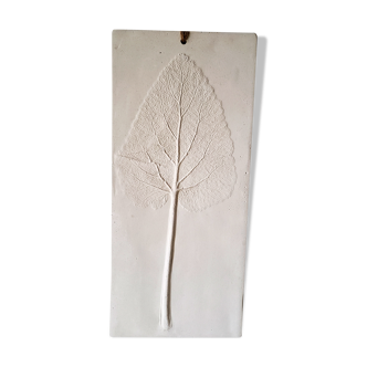 Plaster plant footprint