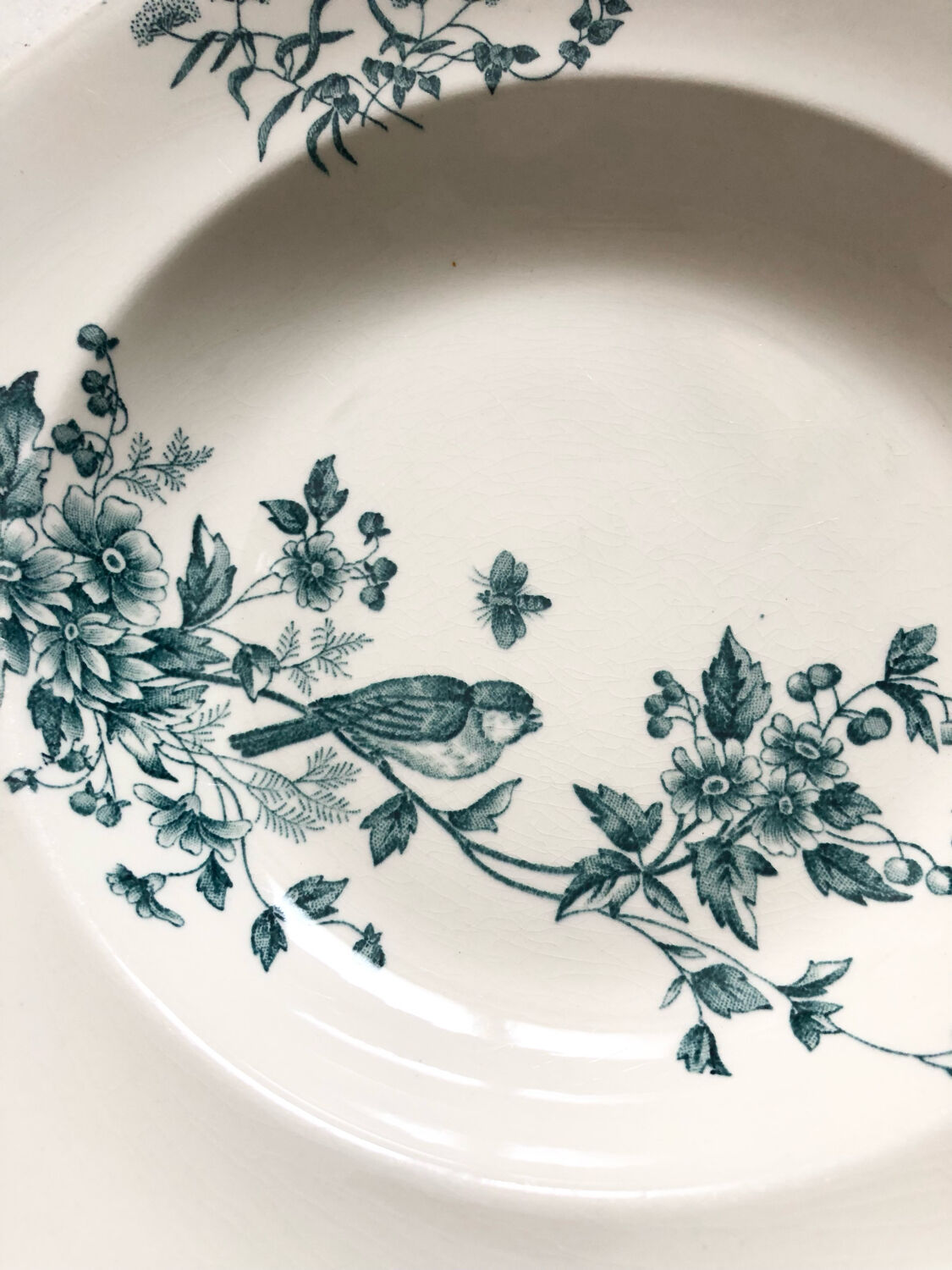6 assiettes terre de fer oiseaux Longwy « mignon »