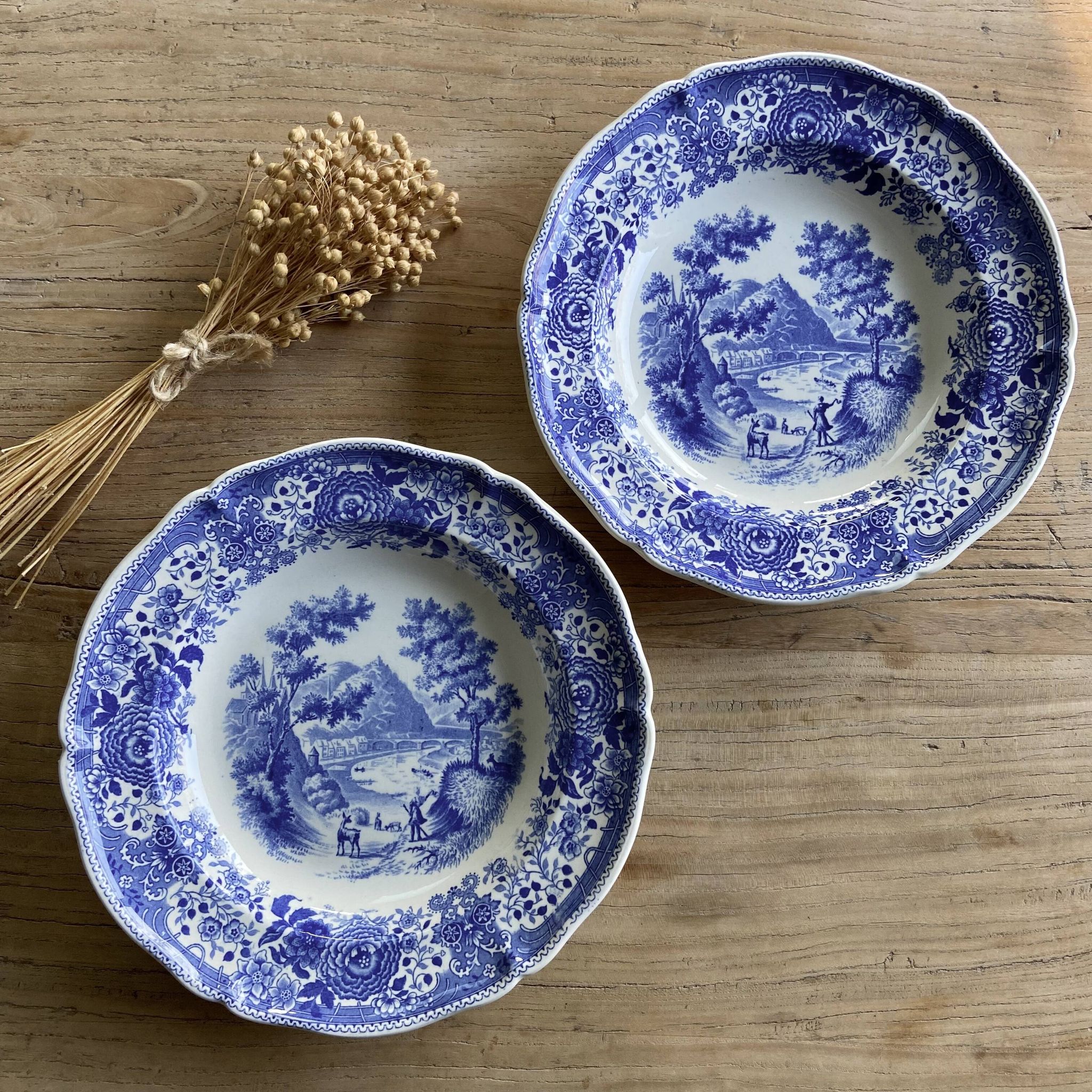 Duo of vintage Villeroy & Boch hollow plates "Burgenland"