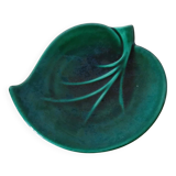 empty green leaf pocket