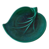 empty green leaf pocket