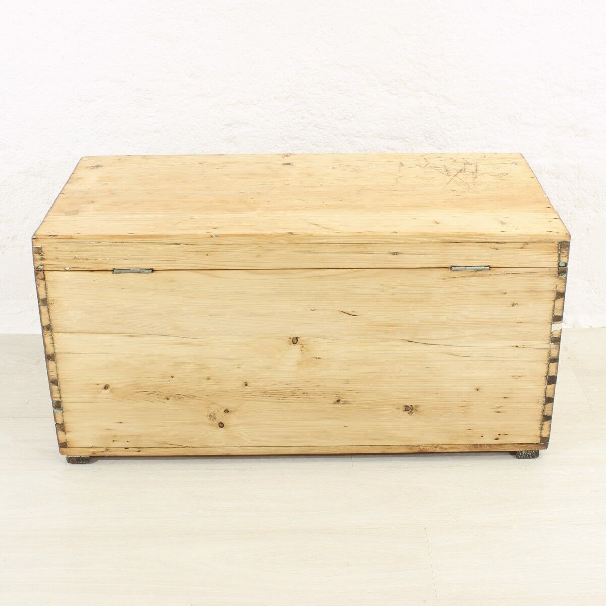 Antique fir trunk