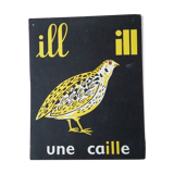 Quail, reading image