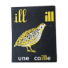 La caille image de lecture