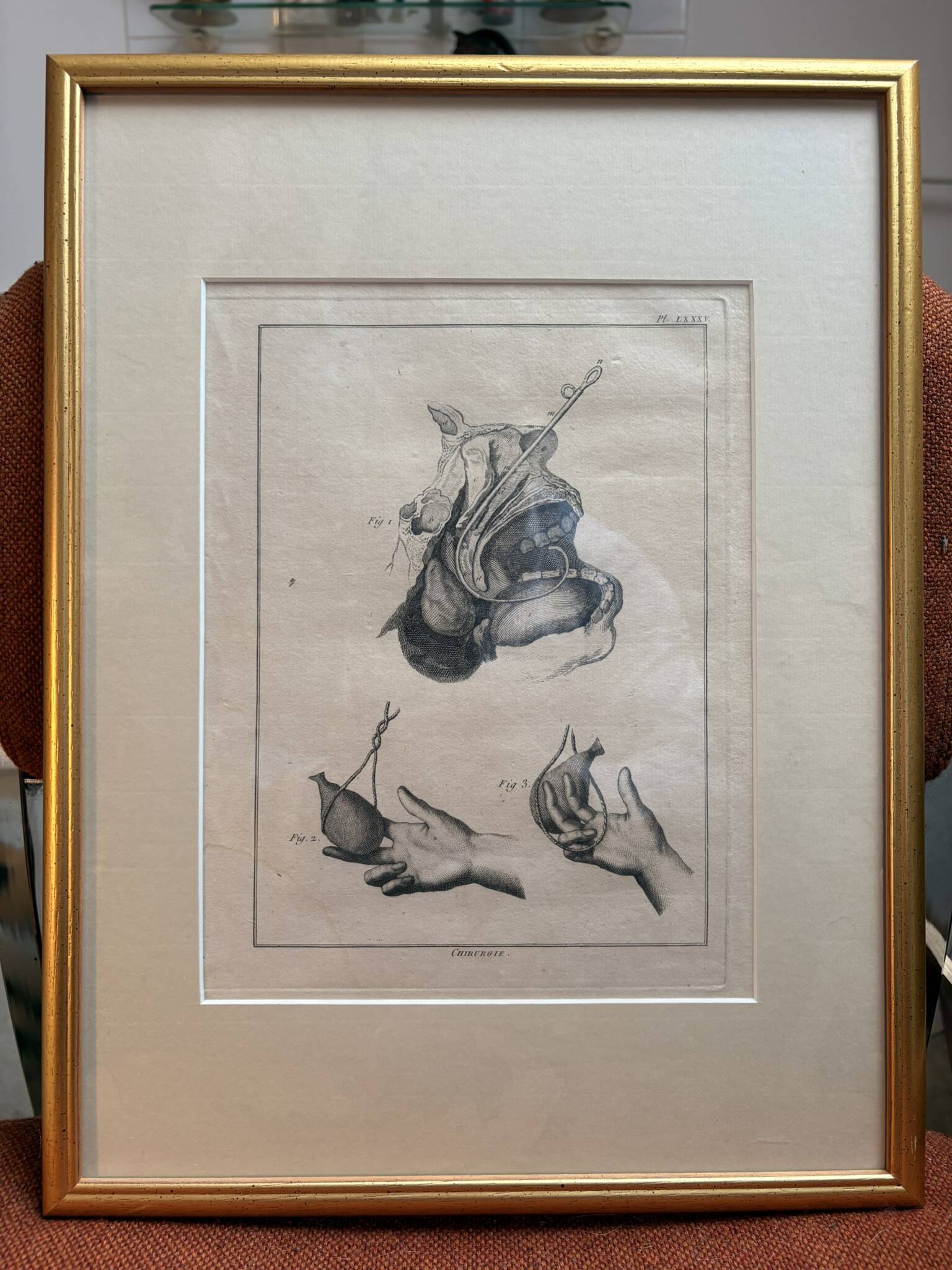 Framed Print Engraving Aphorisms Surgery Anatomy Herman Boerhaave