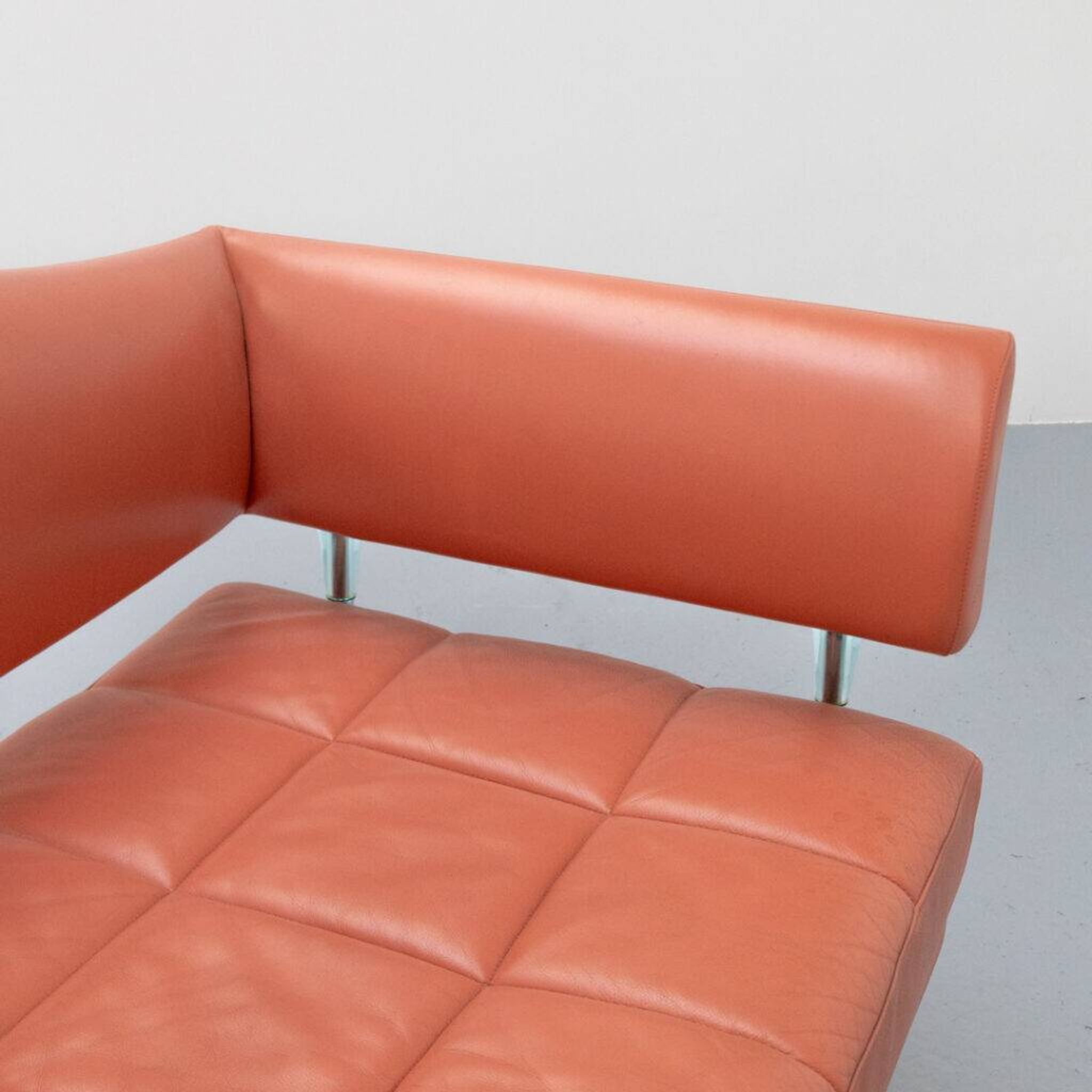 Hydra Sirius Sofa by Luca Scacchetti for Poltrona Frau