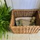 Wicker pan