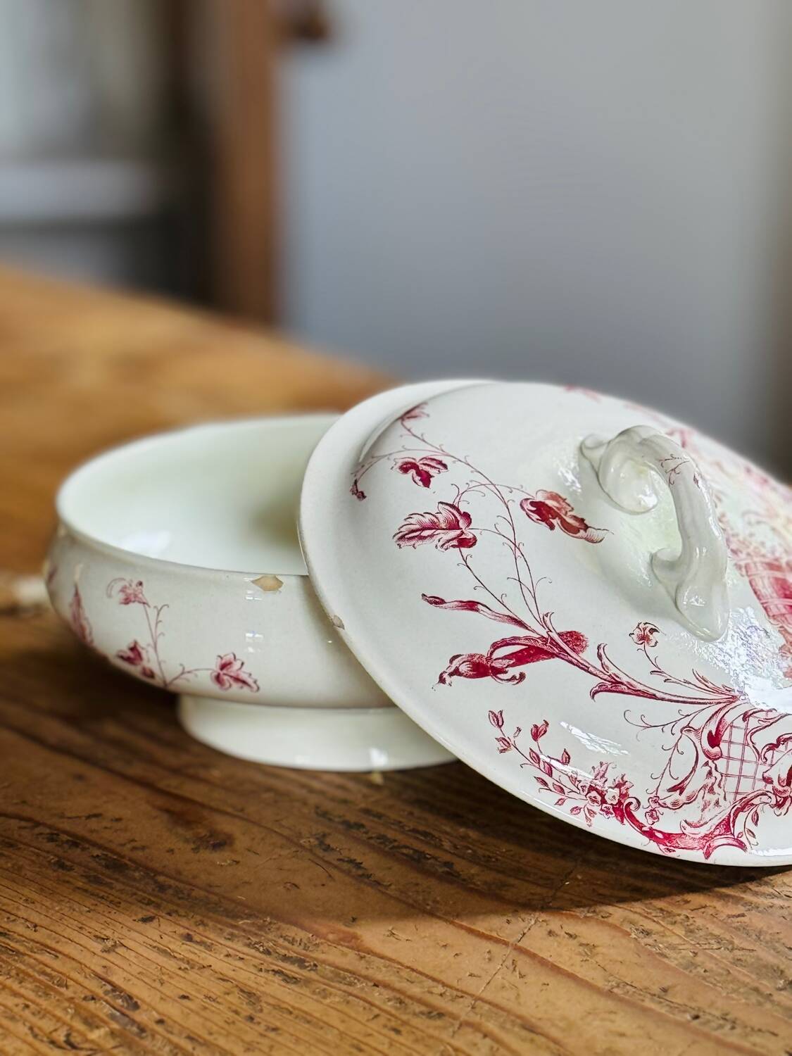 Old vintage tureen Terre de Fer