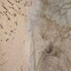 Oblong Raku Bowl Signed Anne Braut