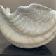 Empty vintage pocket ceramic shell