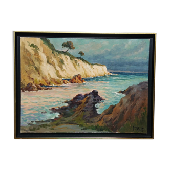 Landscape of coves