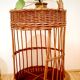 Vintage wicker bottle holder