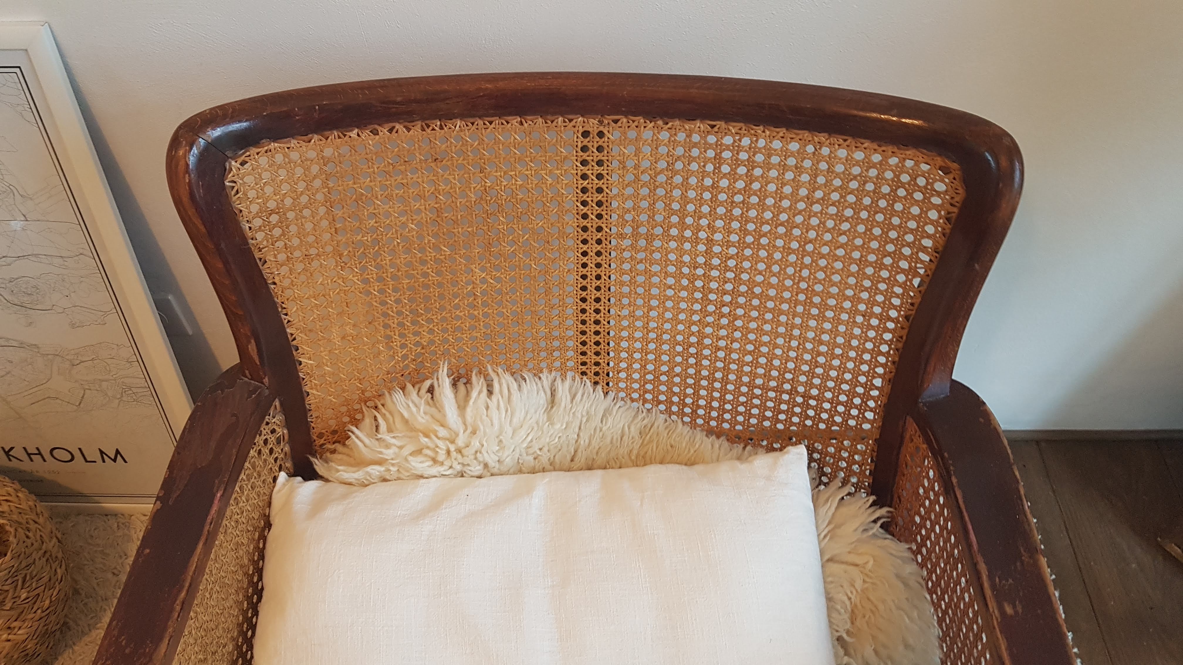 Steiner canna armchair