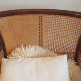 Steiner canna armchair