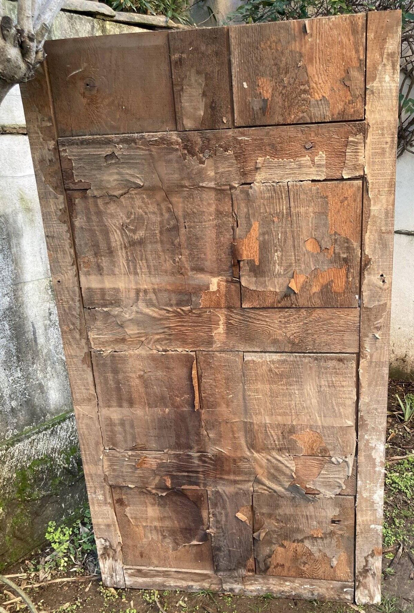 Antique overmantel mirror - decoration of palmettes and water leaves