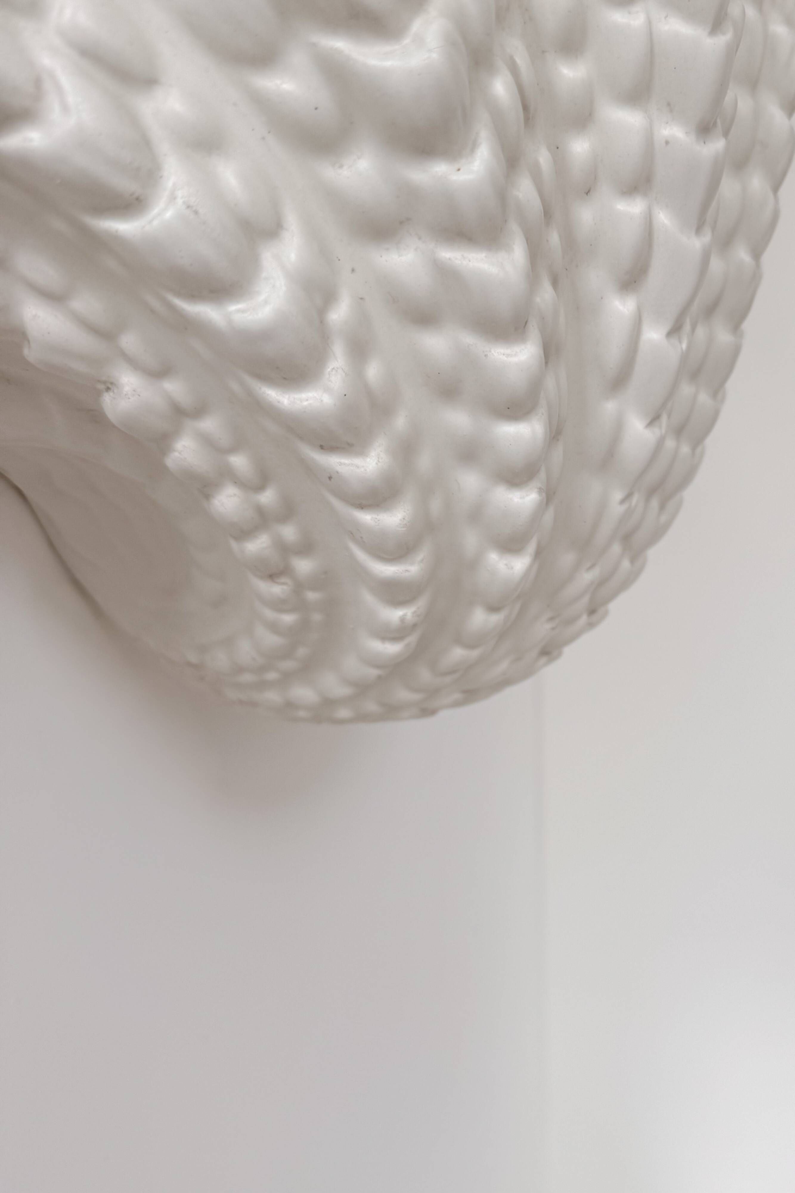 XL vintage shell wall light in plaster, France 1960