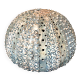 Vintage ceramic forming urchin - signed