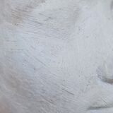 Bust of Nefertiti Louvre Museum Paris