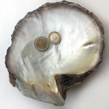 Empty-pocket in mother-of-pearl shell
