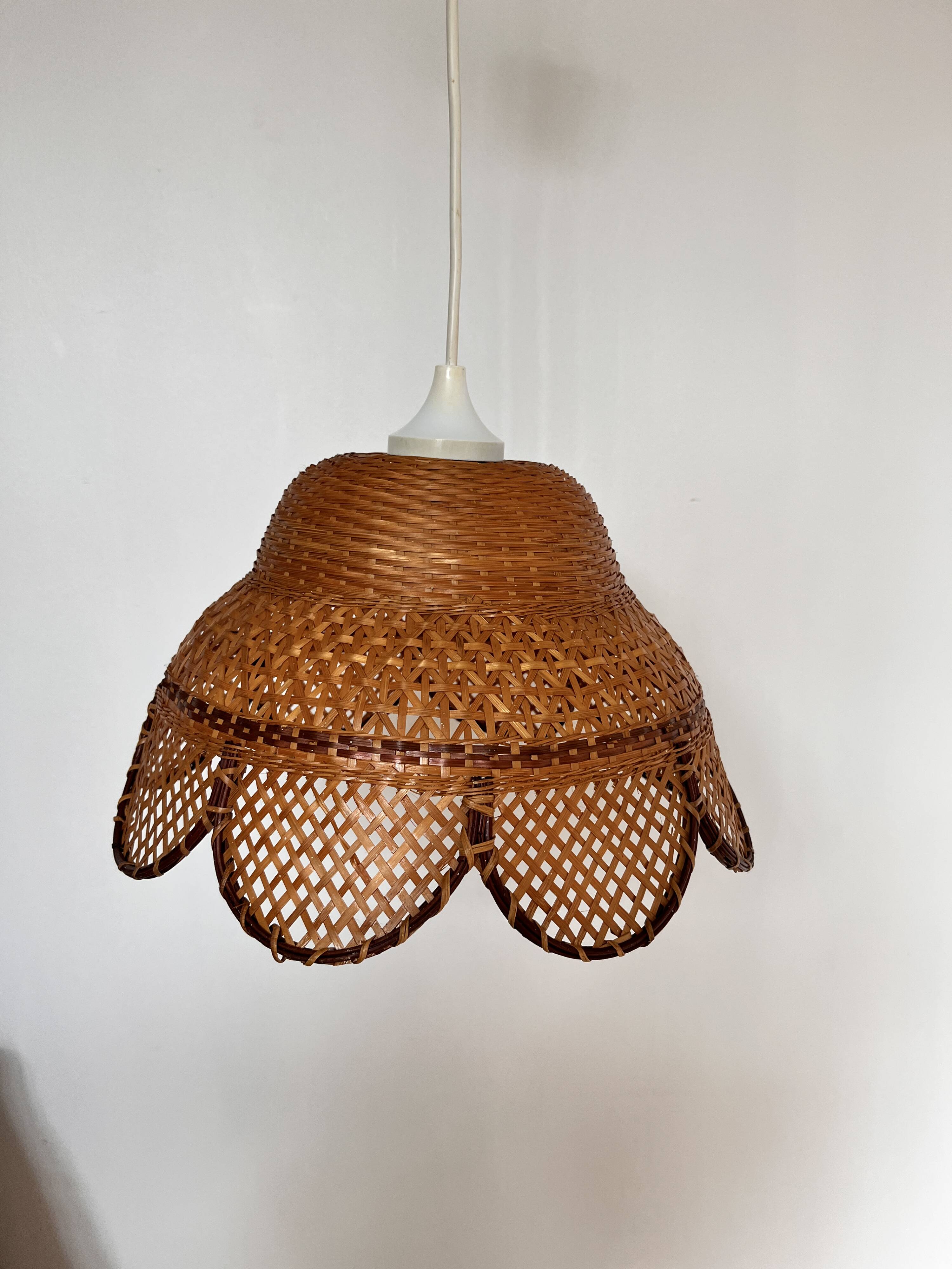 Wicker caning pendant light