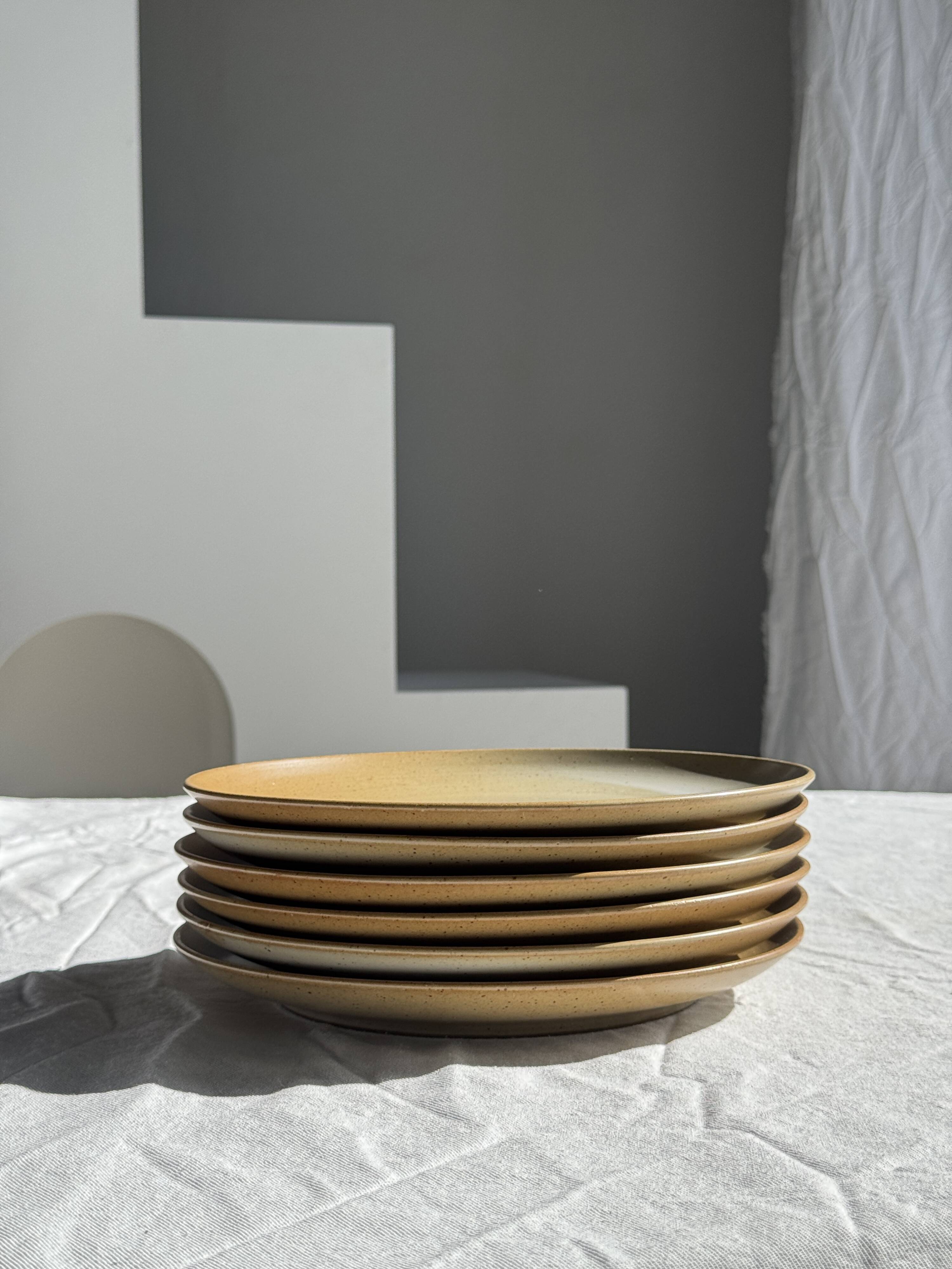 Set of 6 stoneware plates Village France D24