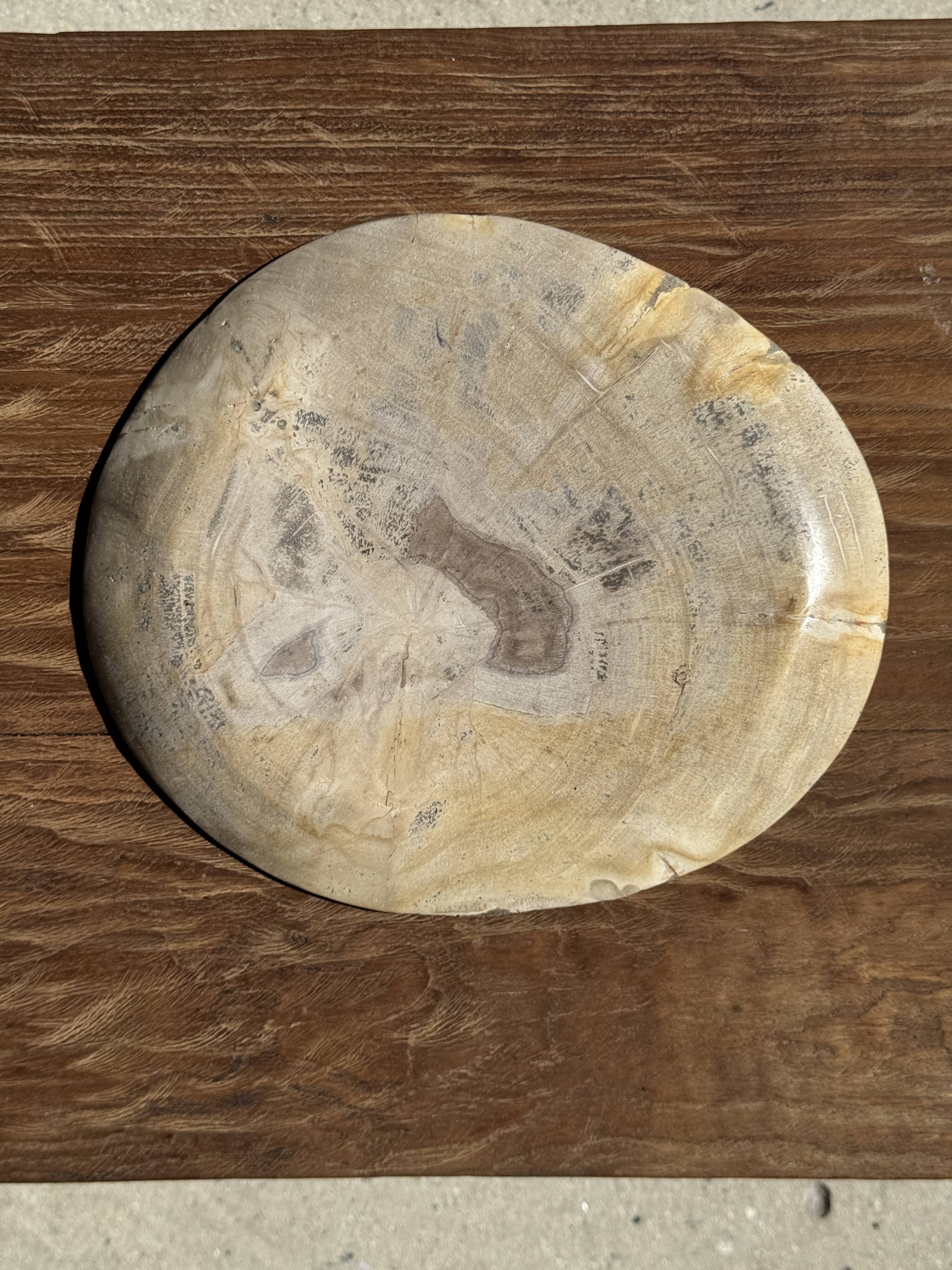Petrified wood catchall or dish in beige with several grey spots in the centre.