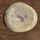 Petrified wood catchall or dish in beige with several grey spots in the centre.