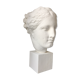 Greek Ap Hygie head. Scopas Hellenistic Greek art in plaster-bleached terracotta