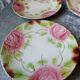 Series of 6 plates in slip decorated with roses