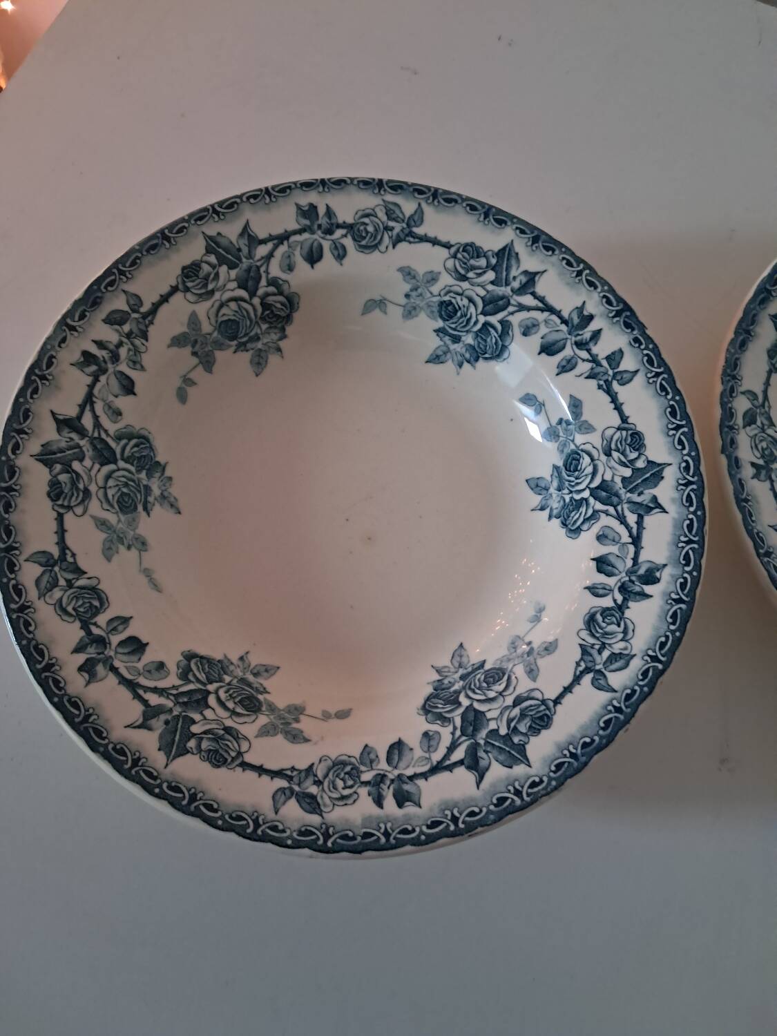 Plates crown of roses. Iron earth