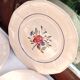 12 flat plates Digoin