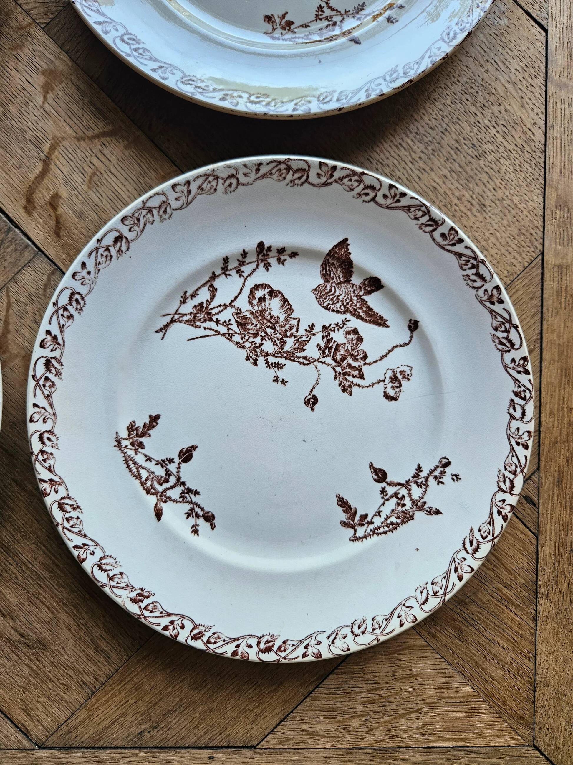 Ironstone dessert plates, poppies