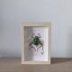 Tableau insecte brodé à la main (pièce unique)