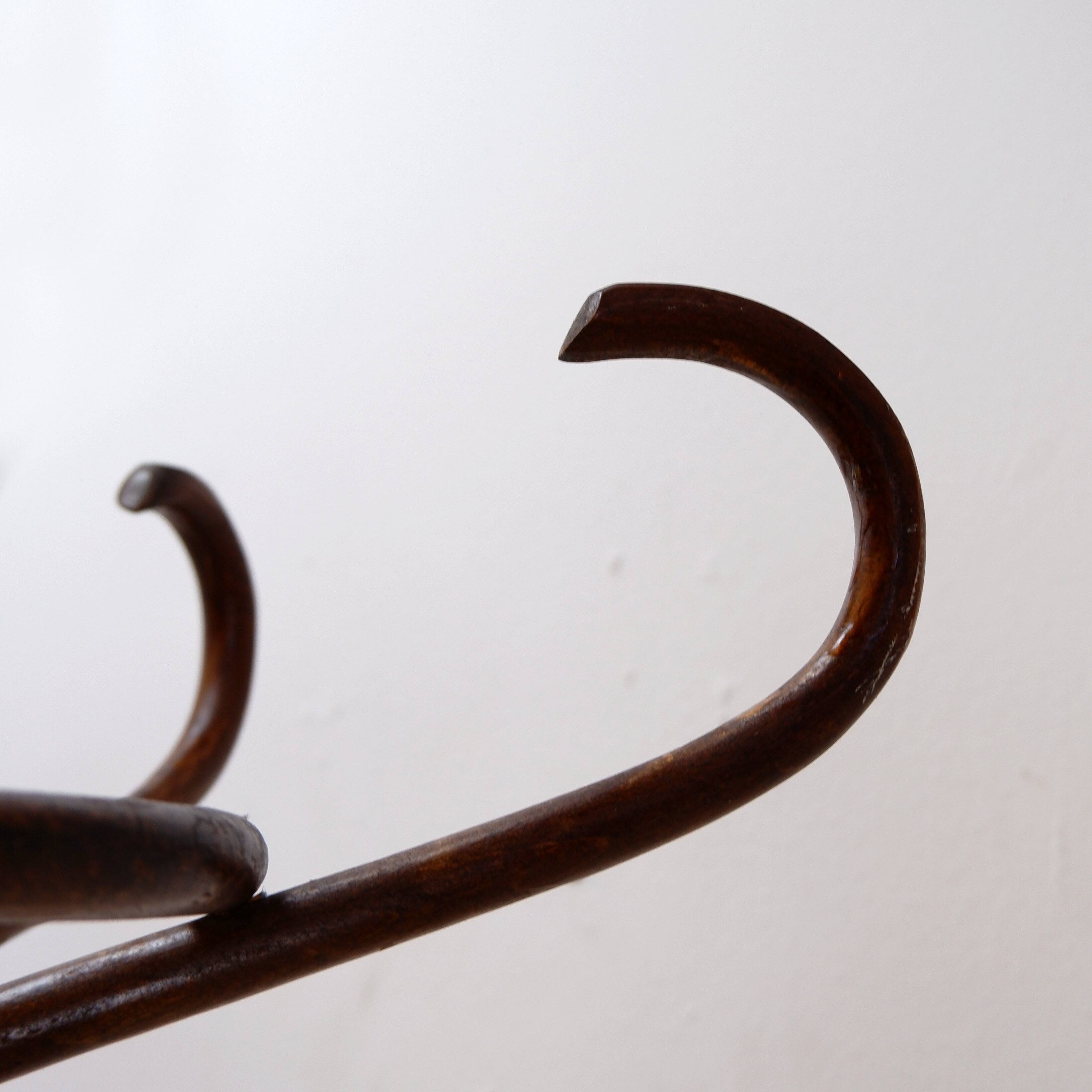 Porte manteau perroquet vintage en bois courbé