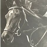 Photograph black and white silver print circa 1970 riding competition