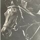 Photograph black and white silver print circa 1970 riding competition