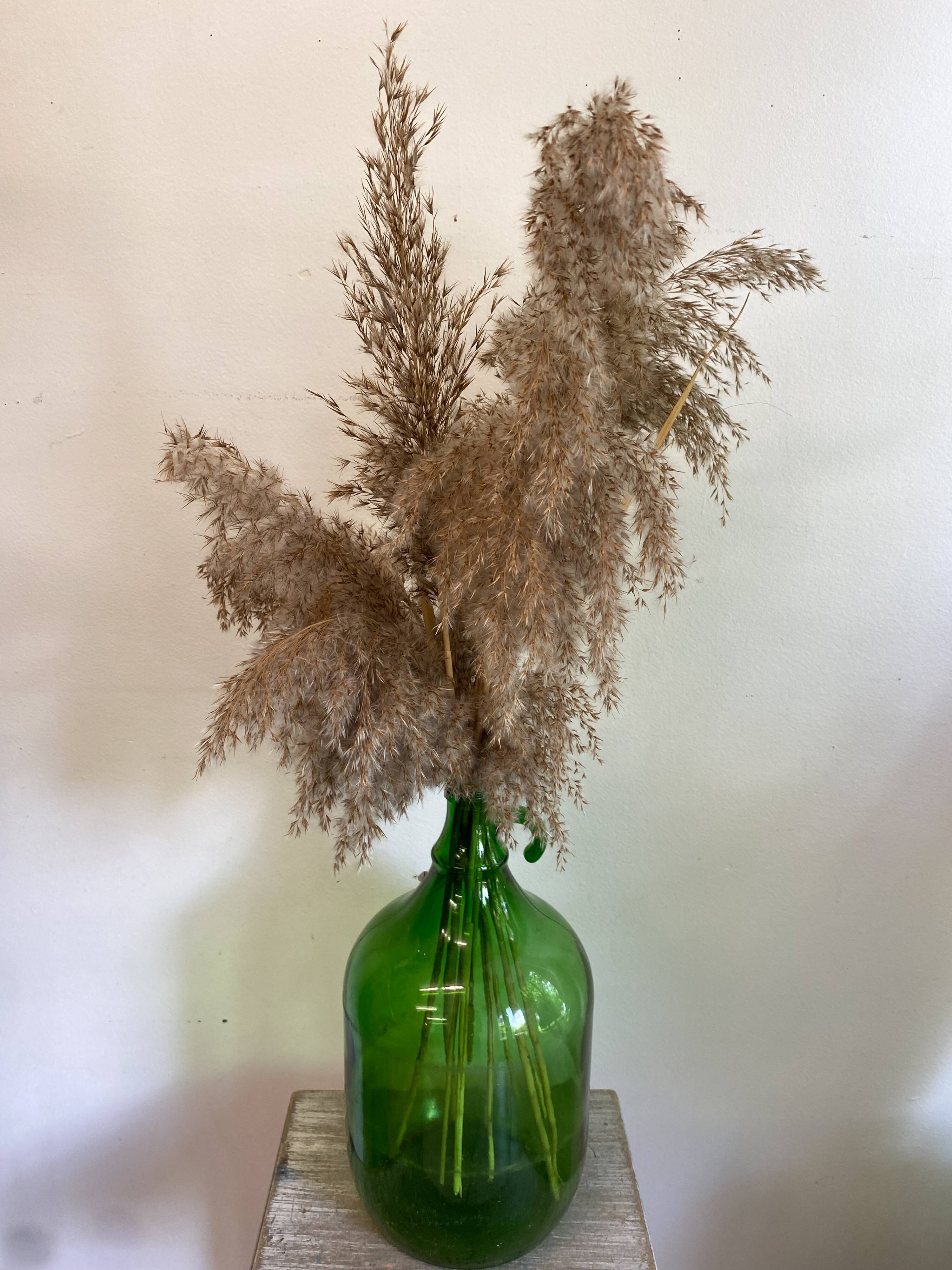Green bottle