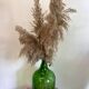 Green bottle