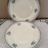 Set 4 dinner plates and 4 soup plates