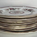 10 porcelain plates and a dish