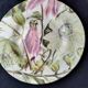 4 dessert plates in fine English earthenware Royal Stafford