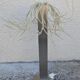 Vintage Stranne IKEA floor lamp - 2000s Vintage Design
