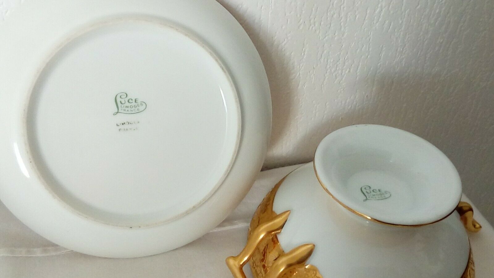 Limoges porcelain broth on his plate